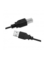 LogiLink USB-B 2.0m czarny kabel LogiLink USB 2.0 - USB-B 2m M/M czarny - nr 8