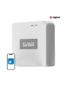 Sonoff ZigBee Bridge Pro - nr 1