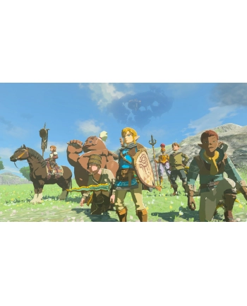 The Legend of Zelda: Tears of the Kingdom (NS)