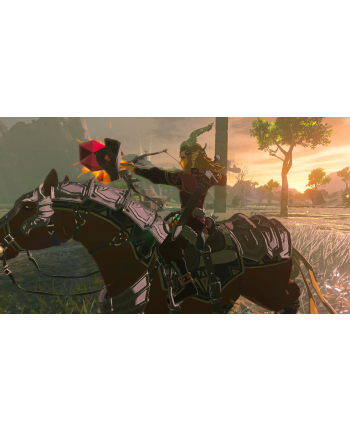 The Legend of Zelda: Tears of the Kingdom (NS)