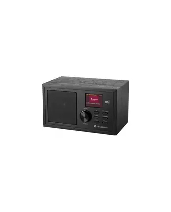 GoGEN DAB620BTCB