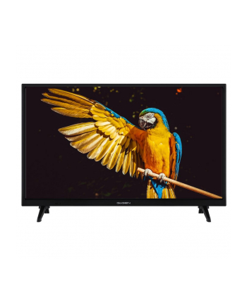 GoGEN TVH24A336 24'' | HD READY | DVB-T2/C/S2 | Smart TV |