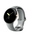 Google Pixel Watch LTE champagne gold/hazel - nr 5