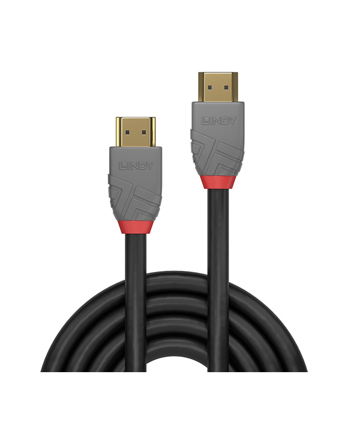 Lindy HDMI 2.0 High Speed M/M 5m czarny główny