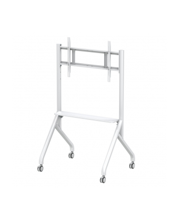 Stojak mobilny Techly TV 65-100'' do 100kg regulowany półka AV