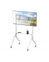 Stojak mobilny Techly TV 65-100'' do 100kg regulowany półka AV - nr 4