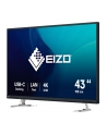 EIZO 43'' FlexScan EV4340X-BK - nr 18
