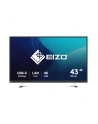 EIZO 43'' FlexScan EV4340X-BK - nr 22