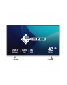 Eizo 42,5'' EV4340X-WT (EV4340XWT) - nr 13