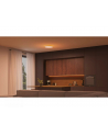 PHILIPS HUE Lampa sufitowa Datura Round small (929003736201) - nr 16