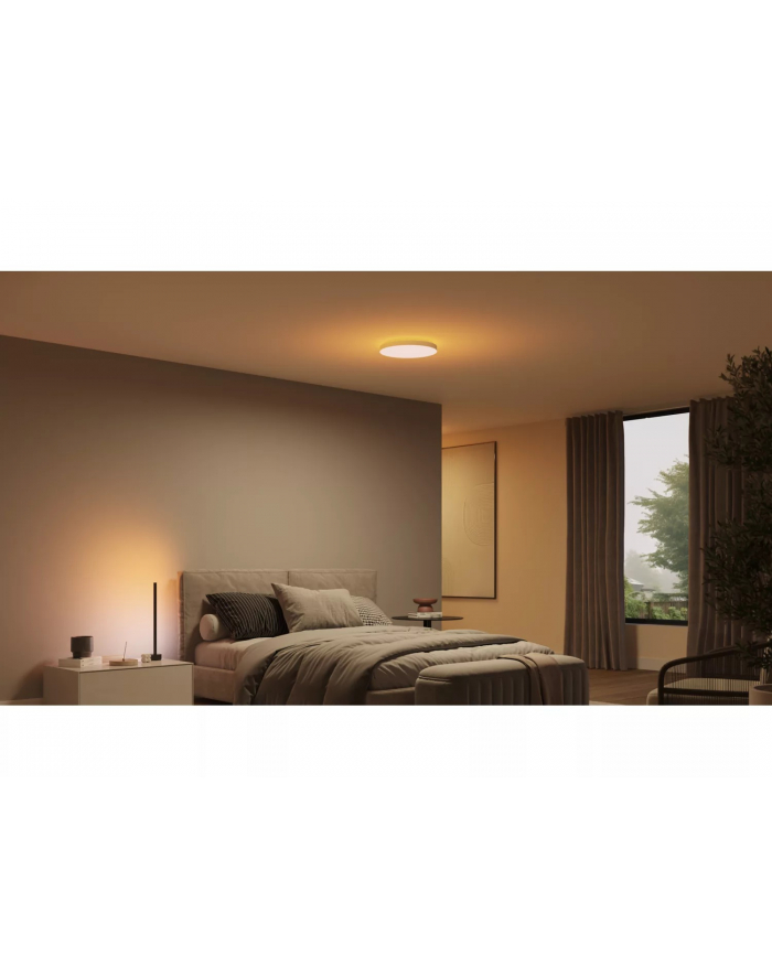 PHILIPS HUE Lampa sufitowa Datura Round small (929003736201) główny