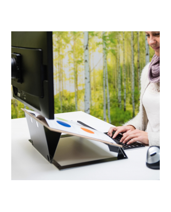 R-Go Tools R-Go Dokumentenhalter Read2Write Bis A3