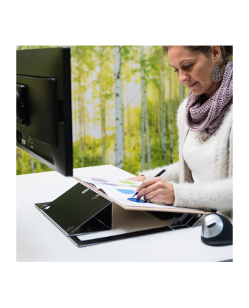 R-Go Tools R-Go Dokumentenhalter Read2Write Bis A3
