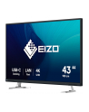 EIZO 43'' FlexScan EV4340X-BK - nr 26