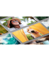 Adobe Adobe Photoshop Elements 2024 Edytor graficzny 1 x licencja (65329011) - nr 5