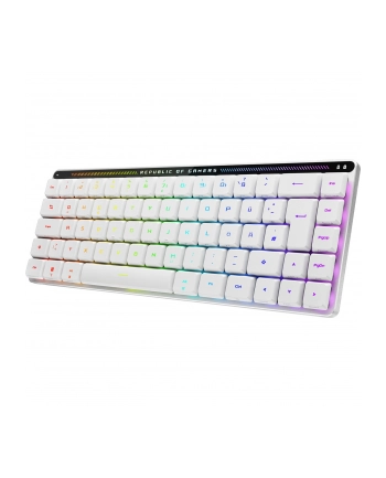 Asus Rog Falchion Rx (90MP03ECBKDA10)