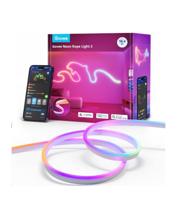 Govee Neon Lights 2 5m H61D5 nr 1