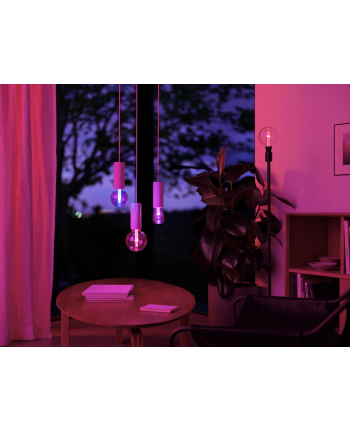 PHILIPS HUE Lightguide White and color ambiance Inteligentna żarówka G95 E27 (929003151101)