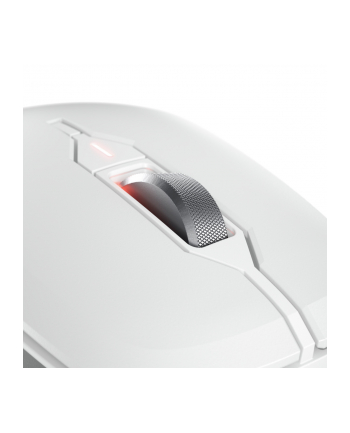 CHERRY Mouse STREAM COMFORT Wireless Kolor: BIAŁY