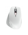 CHERRY Mouse STREAM COMFORT Wireless Kolor: BIAŁY - nr 1