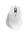 CHERRY Mouse STREAM COMFORT Wireless Kolor: BIAŁY - nr 32