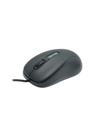 wortmann ag TERRA Mouse 1500 Corded USB Kolor: CZARNY 3-Tasten, symmetrisch, kabelgebunden, 1,80m