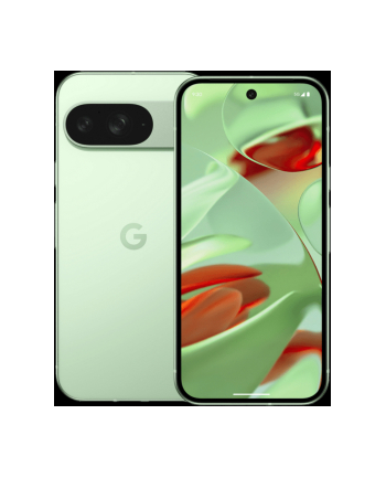 Google Pixel 9 (128GB) wintergreen