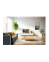 Panasonic TV-24S50AEZ silver - nr 2