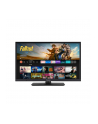Panasonic TV-24S50AEZ silver - nr 6