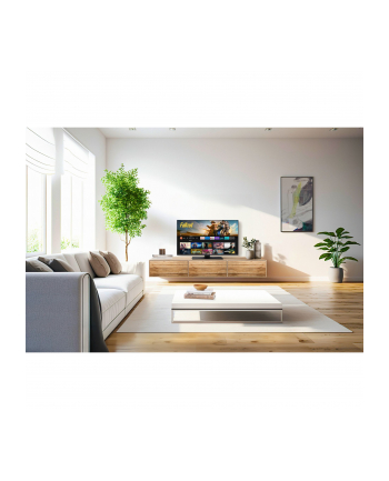 Panasonic TV-40S55AEZ silver