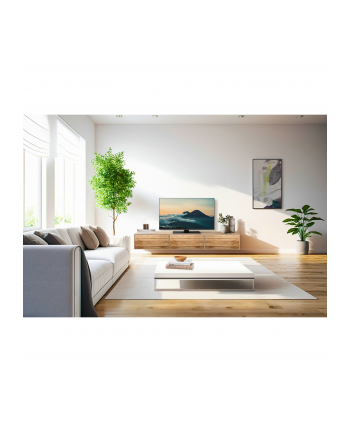 Panasonic TV-40S55AEZ silver