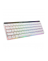 Asus Rog Falchion Rx (90MP03ECBKDA10) - nr 22