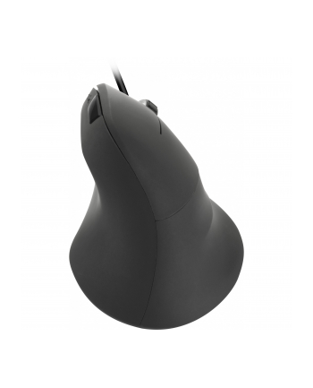 Speed-Link Piavo czarny (SL610019RRBK) nr 1