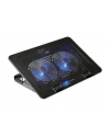 Evolveo EVOLVEO A101 (DCXA101S) - nr 1