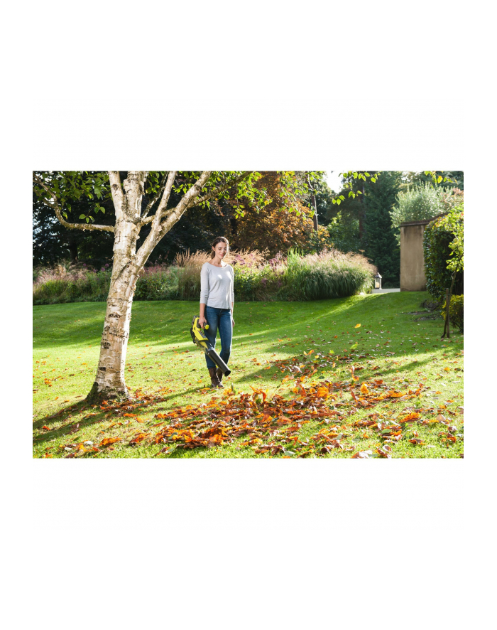 RYOBI RBl18JB40F główny