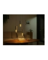 PHILIPS HUE Lightguide White and color Ambiance ST72 E27 (929003151501) - nr 18