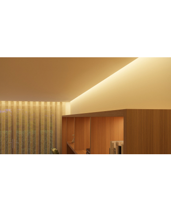 PHILIPS HUE Taśma LED Solo 5m (929003817002)
