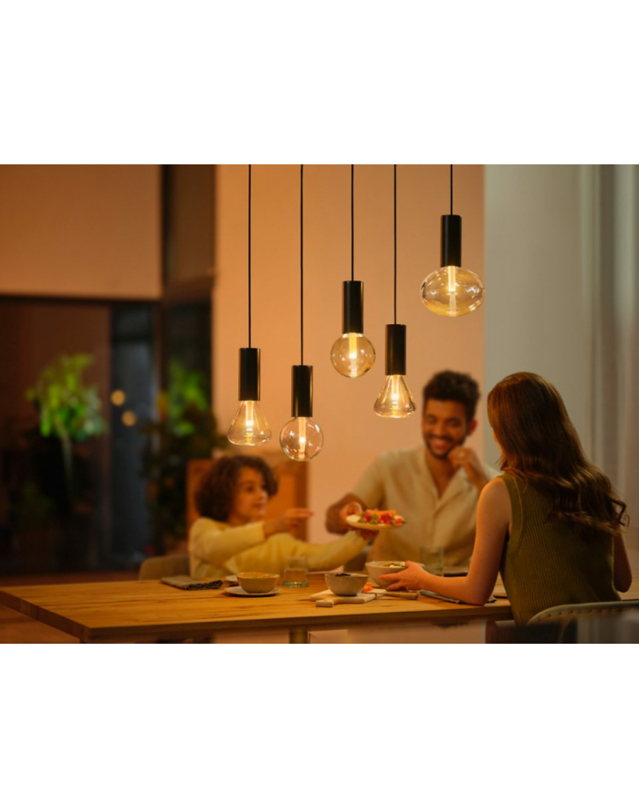 PHILIPS HUE Lightguide Żarówka Inteligentna G125 E27 (929003151202) główny