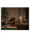 PHILIPS HUE Lightguide Żarówka Inteligentna, trójkątna E27 (929003151402) - nr 9