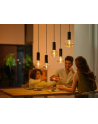 PHILIPS HUE Lightguide Żarówka Inteligentna, trójkątna E27 (929003151402) - nr 8