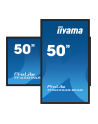 iiyama Monitor 50 cali TF5039AS-B1AG, VA,4K,HDMIx2,DP,RJ45,3xUSB,2x10W,      ANDROID,24/7,IP65 - nr 22