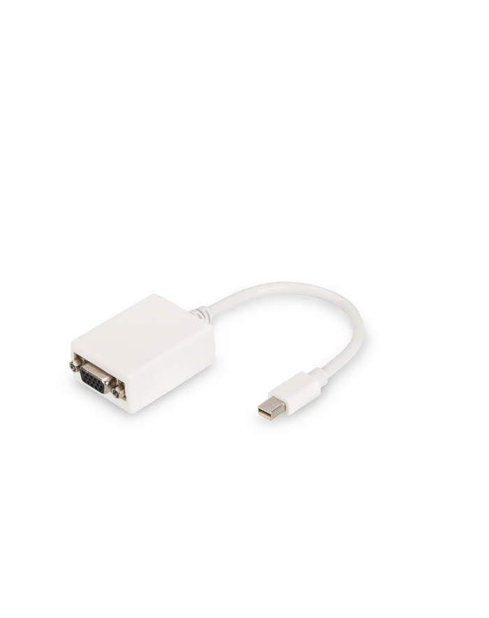 Digitus Mini DisplayPort-D-Sub 0,15m Biały (DB340407001W) główny