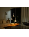 PHILIPS HUE Lightguide Żarówka Inteligentna G125 E27 (929003151202) - nr 6