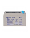 Victron Energy 12V/8Ah AGM Deep Cycle Batt - nr 1