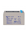 Victron Energy 12V/8Ah AGM Deep Cycle Batt - nr 1