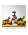 TEFAL | Wyciskarka wolnoobczerwonyowa | ZC255B38 | Typ: Elektryczny | Srebrny/czarny | 200 W | Bardzo duży wkład owocowy | Liczba prędkości 2 | 82 obr/min - nr 3