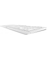 CHERRY STREAM KEYBOARD GERMANY/WHITE-GREY - nr 9