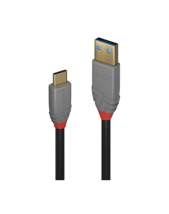 CABLE USB32 A-C 05M/ANTHRA 36910 LINDY główny