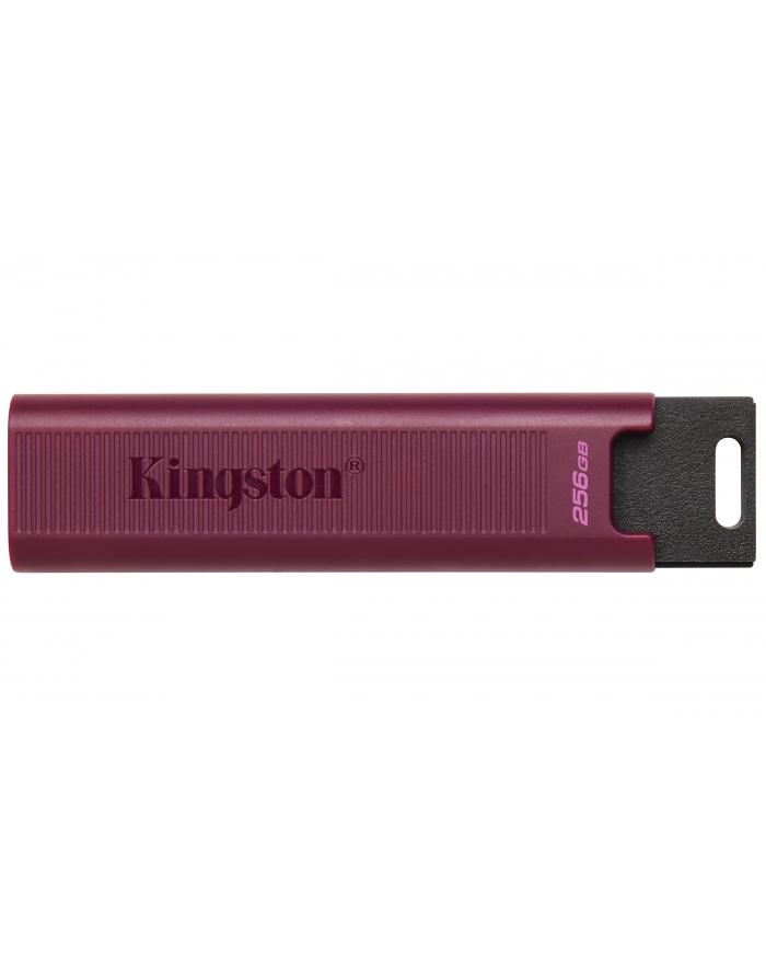 MEMORY DRIVE FLASH USB32/256GB DTMAXA/256GB KINGSTON główny