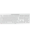 CHERRYSTREAMD-ESKTOP D-E LAYOUT/KBD AND MOUSE SET USB PALE GREY - nr 10